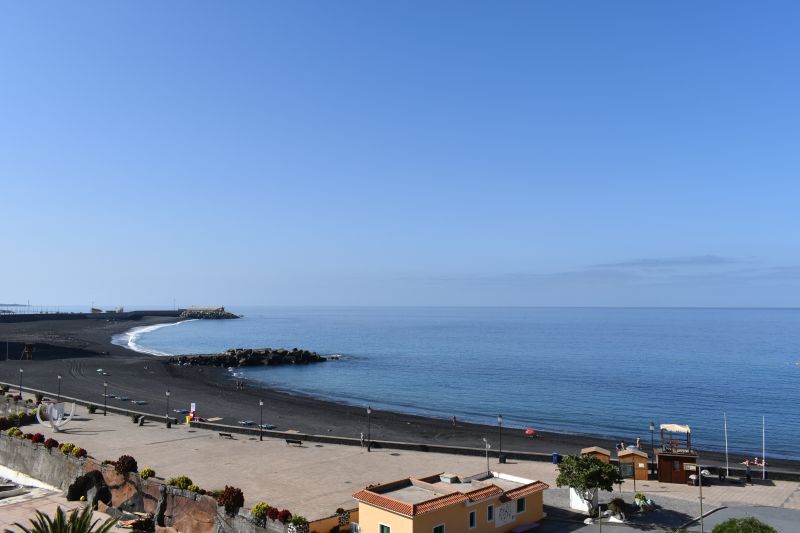 03_La_Palma_Puerto_Tazacorte_Dracaena_view_roof_terras
