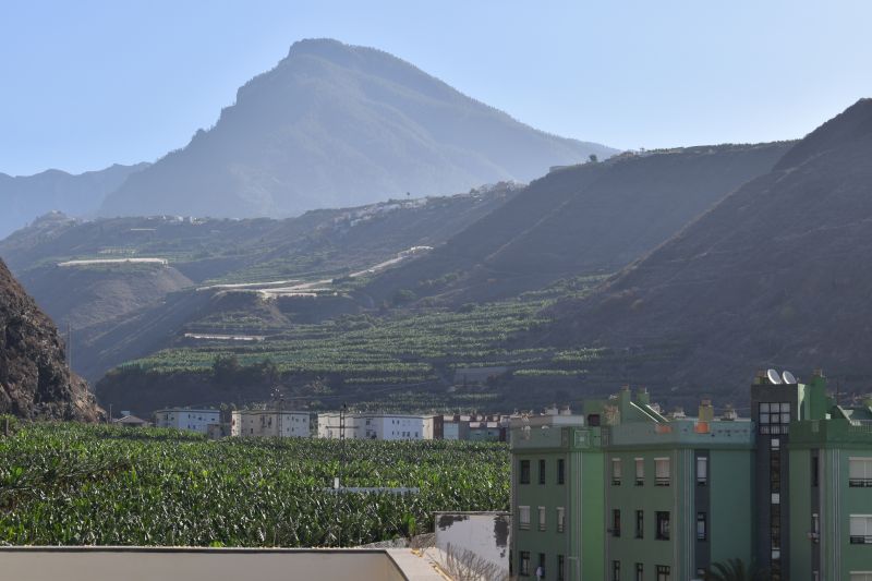 18_La_Palma_Puerto_Tazacorte_Dracaena_view_roof_terras