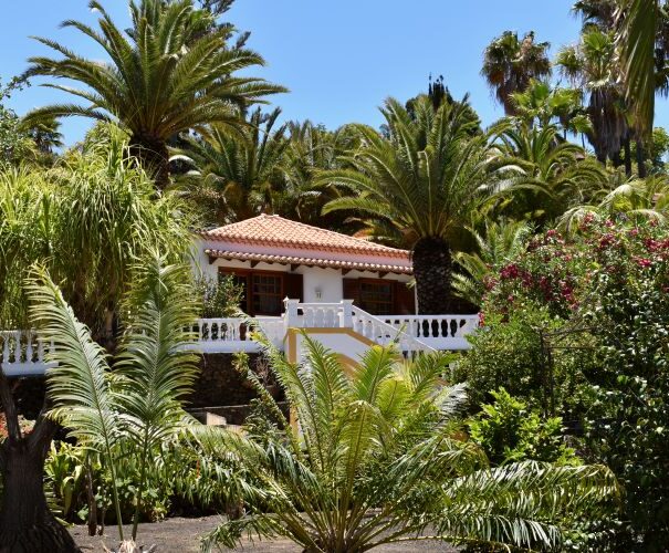 ausblick ferienfinca alexandra aridanetal westseite lapalma pool meerblick